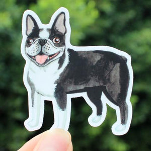Sticker - Boston Terrier